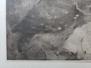 Jan Mankes - Roofvogel op tak. kopen? Bied vanaf 49!