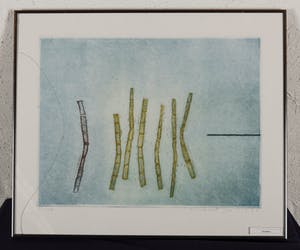 Jan Montyn - Exception - 20/25 - 1989 - kleurenets op papier kopen? Bied vanaf 20!