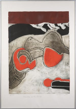 Cees Kortlang - Kleurenets, Meadow of the Saints - Ingelijst kopen? Bied vanaf 60!