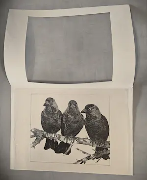 Willem Abraham Wassenaar - monochrome jaren 30 lithografie "3 kauwen op tak" potloodgesigneerd kopen? Bied vanaf 34!