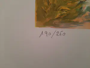 Ray Poirier - PROVENCE / KLEURLITHO / 76x56cm / kopen? Bied vanaf 35!