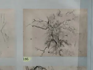 Willem Roelofs - Studie van een eik (Frankrijk 1848) kopen? Bied vanaf 100!
