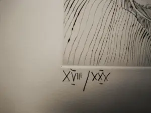 Gunter Grass - org. Kaltnadelradierung "Selbst mit Ratte" handsigniert - limt. Auflage von 30 kopen? Bied vanaf 81!