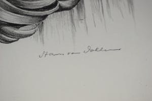 Hans van Dokkum - De ogenboom kopen? Bied vanaf 60!