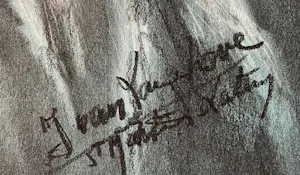 Julien Van Langenhove - Oude vrouw kopen? Bied vanaf 48!