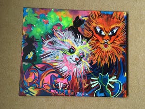 Zippora Sahanaja - Krankzinnige katten kopen? Bied vanaf 10!