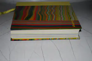 Buy Marian Plug - 2 boeken, 1x gesigneerd? Bid from 50!