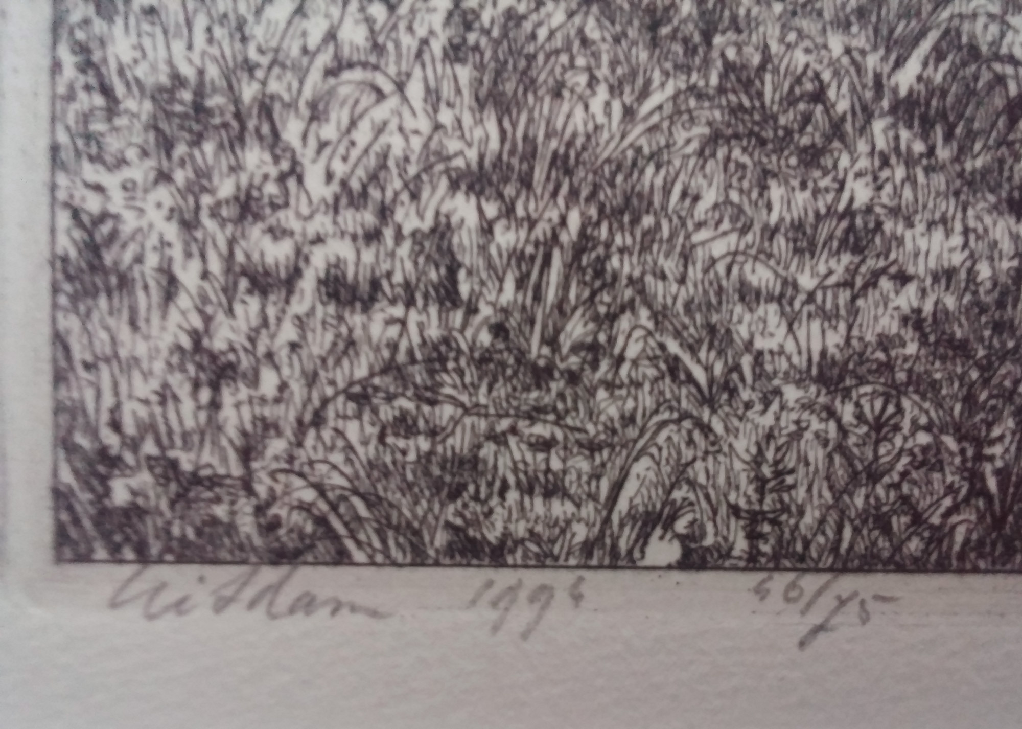 Frans Room - Uitdam (serie Waterland etsen) kopen? Bied vanaf 1!