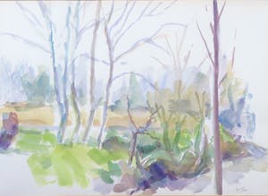 Franscz Witte - Aquarel op papier, Boslandschap -Ingelijst kopen? Bied vanaf 1!