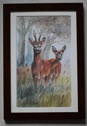 Corry Schenk - Twee Reeën kopen? Bied vanaf 50!