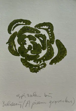 AcheterSjoerd Buisman - gemengde techniek op papier | 'Spiralen bij selderij' | 1983 (UNIEK WERK)? Enchérissez de 225!