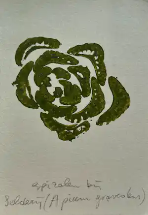 Buy Sjoerd Buisman - gemengde techniek op papier | 'Spiralen bij selderij' | 1983 (UNIEK WERK)? Bid from 225!