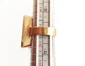 Antieke Egyptian Revival ring Nefertiti Art Deco goud op zilver mt 20 kopen? Bied vanaf 65!