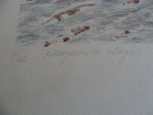 Lies Verdenius - Litho, Titel, "Neergestorte vlieger". kopen? Bied vanaf 25!