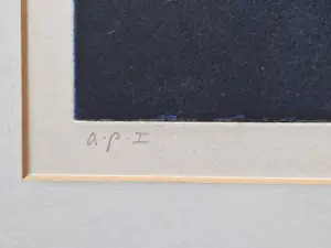 Peter Bes - Grote & unieke - 1980 - artist proof Ets/aquatint "Hotel du Lac" met opdracht kopen? Bied vanaf 1!