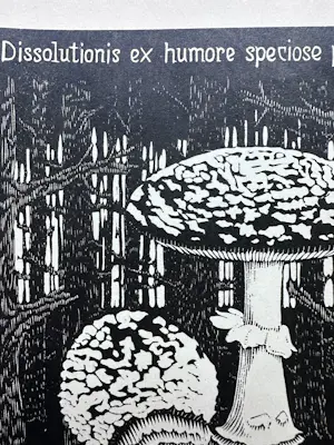 Maurits Cornelis Escher - Paddenstoel kopen? Bied vanaf 1250!