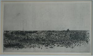 Fred Fritschij - Ingelijste ets , Landschap III – gesigneerd – 1971 – nr 4 van 8 kopen? Bied vanaf 42!