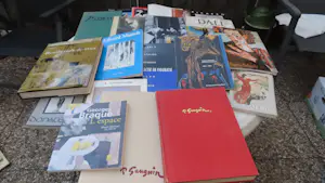 Diverse kunstenaars - Grote Verzameling Kunstboeken kopen? Bied vanaf 115!