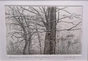 Han van Hagen - Bomen in landschap kopen? Bied vanaf 10!