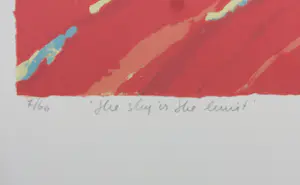 Milou Honig - Zeefdruk op papier, The sky is the limit - Ingelijst kopen? Bied vanaf 40!