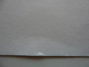 Ad van Hassel - Zeefdruk. Rode tulpen. kopen? Bied vanaf 25!