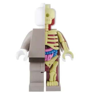 Jason Freeny - Micro Anatomic Lego Figurine kaufen? Bieten Sie von 79!