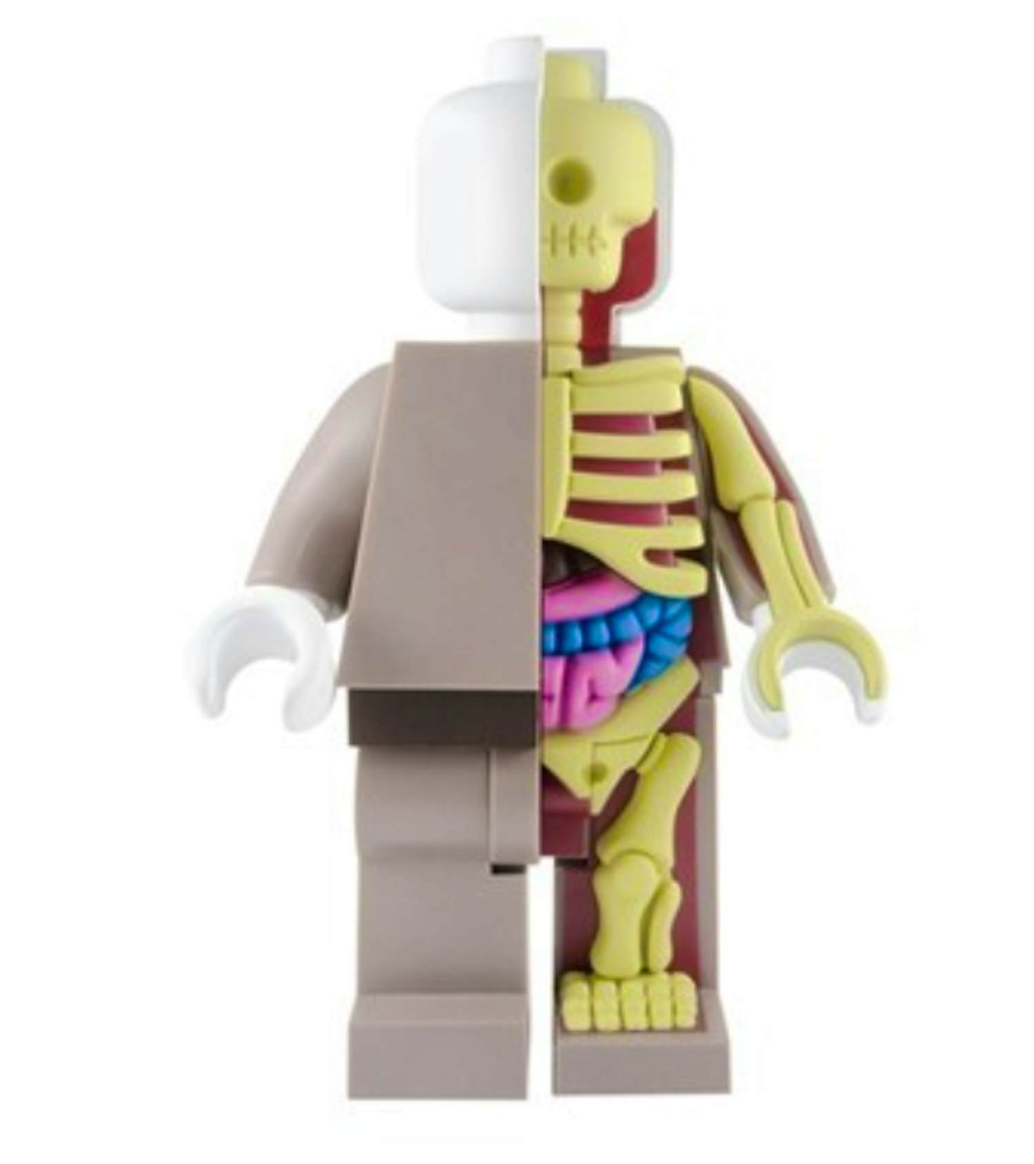 Jason Freeny - Micro Anatomic Lego Figurine kopen? Bied vanaf 79!