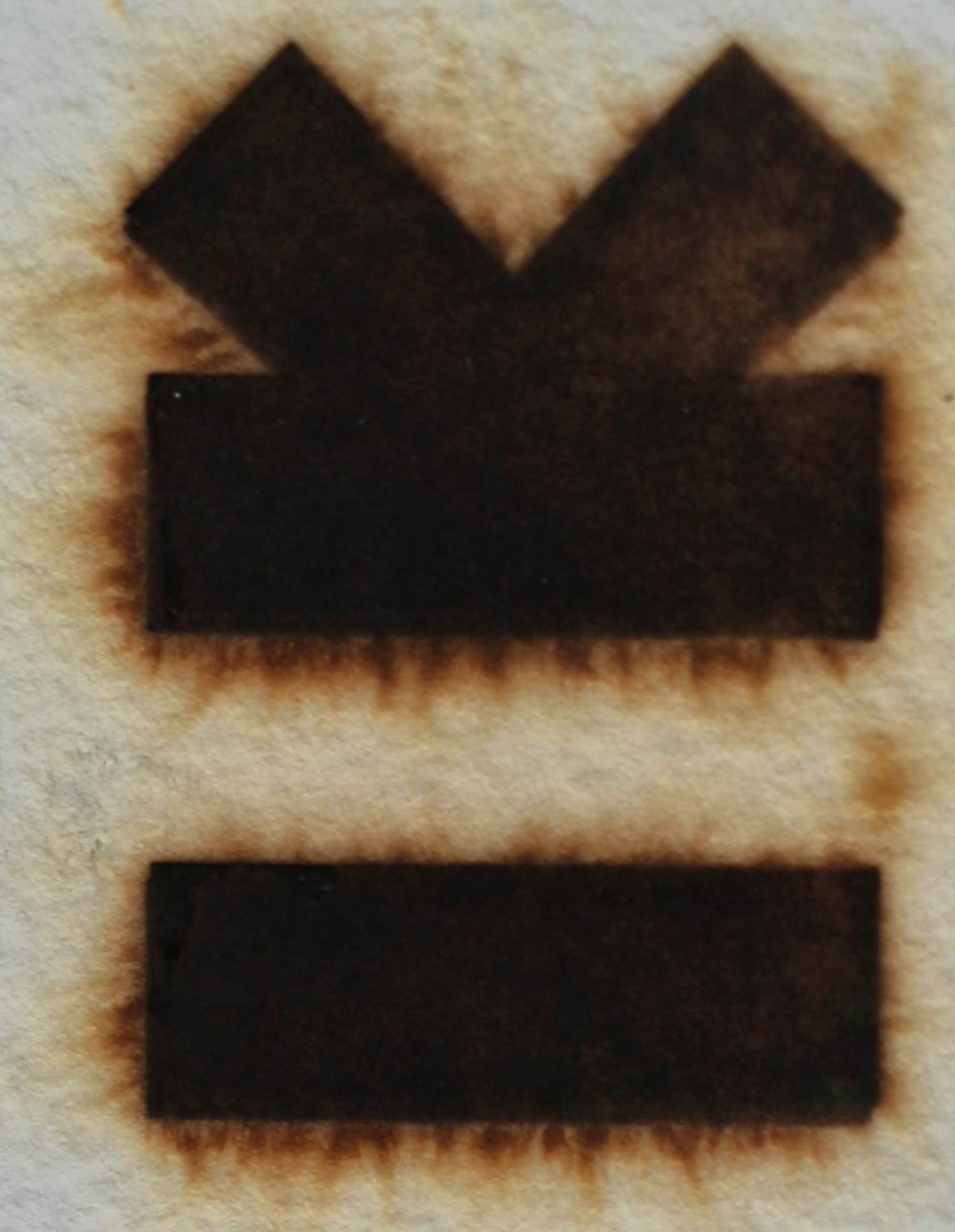 Jan van Munster - Pyrografie: IK verkocht voor € 200!