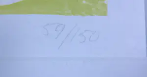 Gerard Schaperkotter - Zeefdruk, Z.T Ingelijst kopen? Bied vanaf 25!