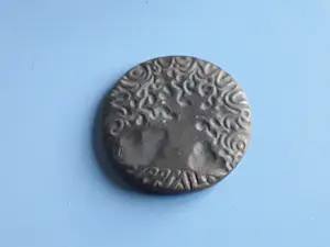 Christina Nijland - VPK Linnaeus brons kopen? Bied vanaf 50!