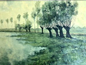 Ad van der Kop - Knotwilgen - Olieverf op doek, Fraai Ingelijst kopen? Bied vanaf 175!