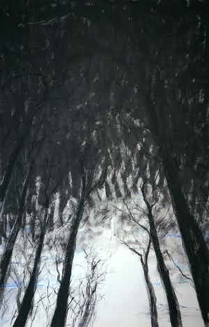 Wim de Bruin - Gemengde techniek op papier, Weerspiegeling (Zeer groot) verkocht voor € 1!