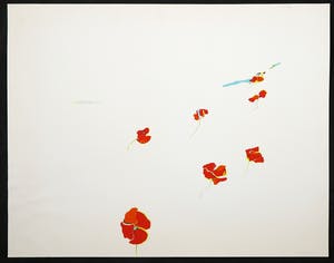 Hans Coumans - Zeefdruk op glossy-papier, Bloemenveld kopen? Bied vanaf 1!