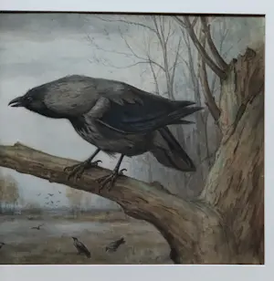 Jan van Oort - Bonte kraai op boomtak kopen? Bied vanaf 295!