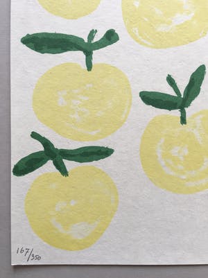 Klaas Gubbels - litho op handgeschept papier 'Appels' - 2007 kopen? Bied vanaf 145!