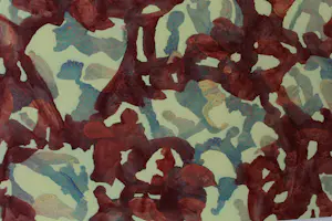 Ad van Riel - Sight (29) kopen? Bied vanaf 145!