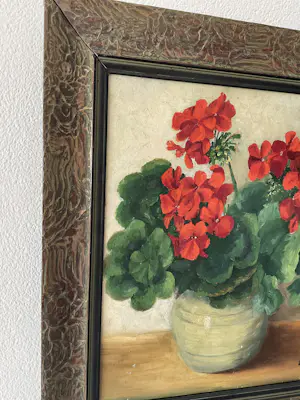 Lien Straver - Geraniums in pot kopen? Bied vanaf 90!