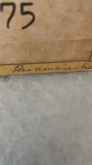 Panamarenko - Atom of Manpower kopen? Bied vanaf 700!