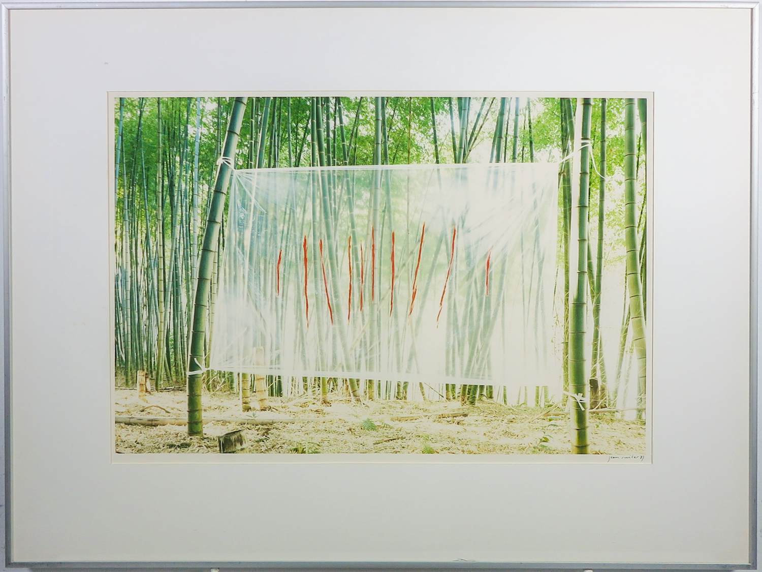 Jean Ruiter - Foto, Bamboebos - Ingelijst kopen? Bied vanaf 50!