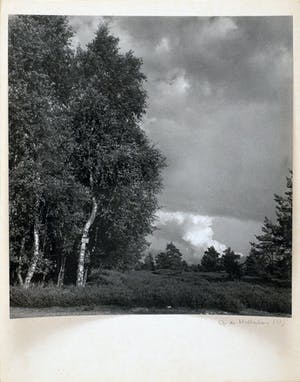 Cas Oorthuys - Op de Holterberg - originele foto op bariet-fotopapier kopen? Bied vanaf 50!