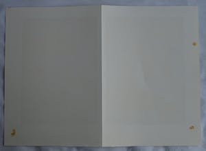 Nicolaas Wijnberg - Litho , Borsten – bijlage tijdschrift Petit No 4 - 1980 kopen? Bied vanaf 30!