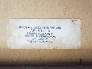 Ari Stolk - Fata Morgana kopen? Bied vanaf 150!