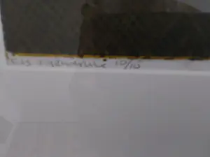 Joost Minnigh - Zonnebloem met barometer. kopen? Bied vanaf 75!