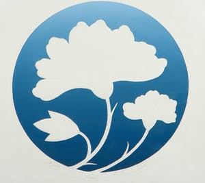 Niet of onleesbaar gesigneerd - Blinddruk en zeefdruk Peony, - Ingelijst kopen? Bied vanaf 1!