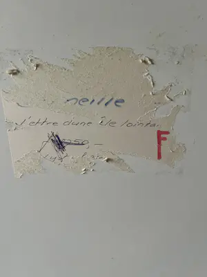 AcheterCorneille - L’être d’une île lointaine? Enchérissez de 750!