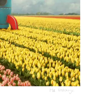 Mr. Strange - Earth Invasion kopen? Bied vanaf 75!