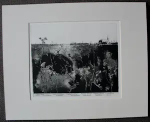 Simon Koene - Ets: Landschap met onkruiden - 1971 kopen? Bied vanaf 99!