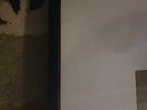 Ans Wortel - Wat te beginnen als de kinderen je ontgroeien kopen? Bied vanaf 65!