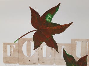 Els Maasson - Folium kopen? Bied vanaf 20!