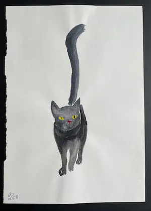 AcheterEls Devrieze - Zwarte kat? Enchérissez de 1!